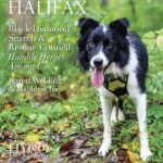 SoBo Halifax Magazine