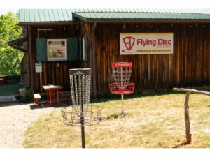 Flying Disc Company