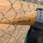 pete rose baseball bat (lightly used)