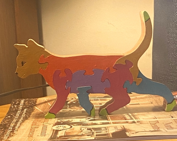 The Cat Ladies of Halifax