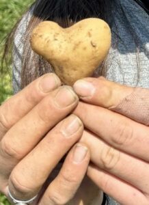 Where the Hope of Healing the Soul and Soil Come Together - Good Hope Equestrian & Regenerative Farm, Inc